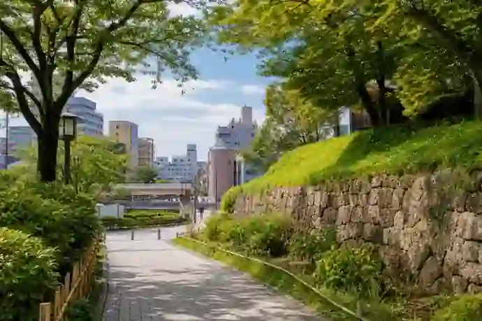 緑と歴史の痕跡が現代の街並みに調和する柏市の風景