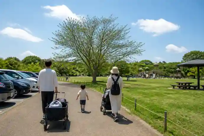 【柏・手賀沼】手賀の丘公園｜森のアスレチックとBBQ・キャンプ場の内容を確認する場面を伝えるイメージ画像